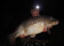 23l